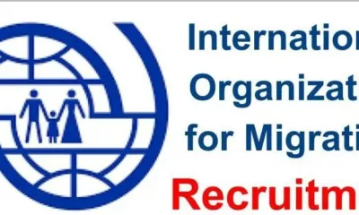 Available IOM Recruitment and Job vacancies in October, 2023