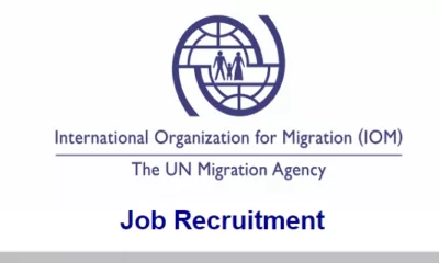 IOM Jobs & Recruitment ( November 2023) : Open Vacancies
