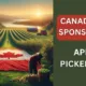 Fruit Packer & picking jobs in Canada exciting job bank fruit packer & picker openings
