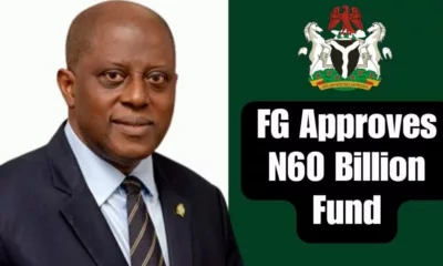 APPLY Now : FG Approves N60 Billion to Nigerian Youths, Small Business Owners, CBN to Disburse Fund